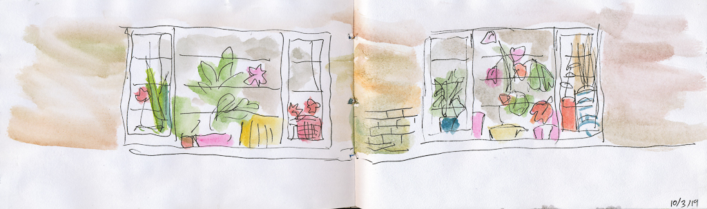 quick sketch of window with colourful plants in pots in Sydenham